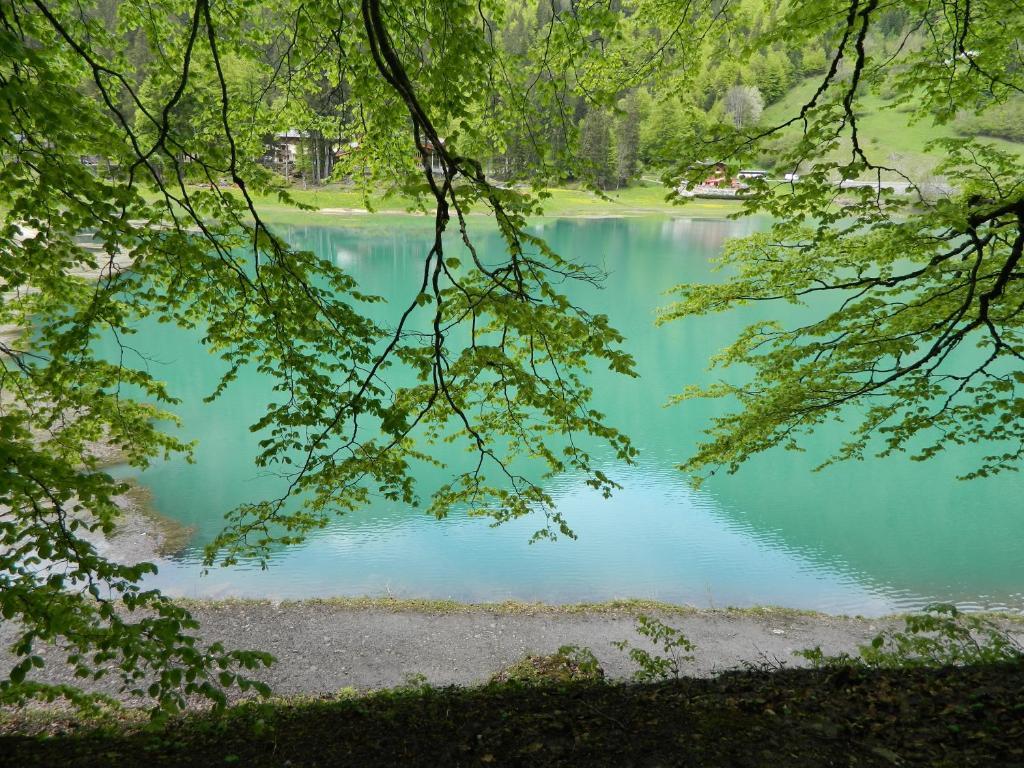 Logis Hotel Les Sapins Montriond Zewnętrze zdjęcie