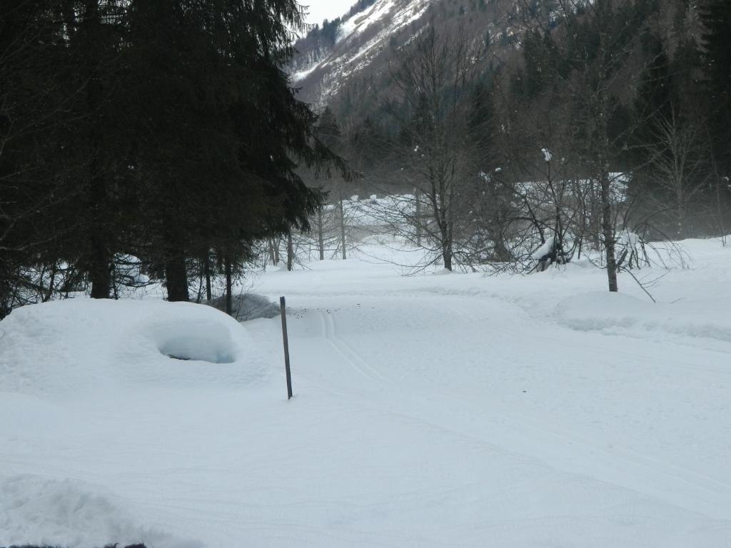 Logis Hotel Les Sapins Montriond Zewnętrze zdjęcie