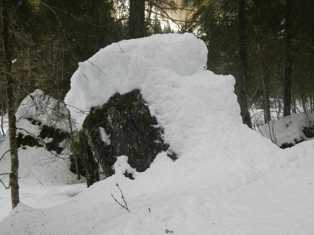 Logis Hotel Les Sapins Montriond Zewnętrze zdjęcie