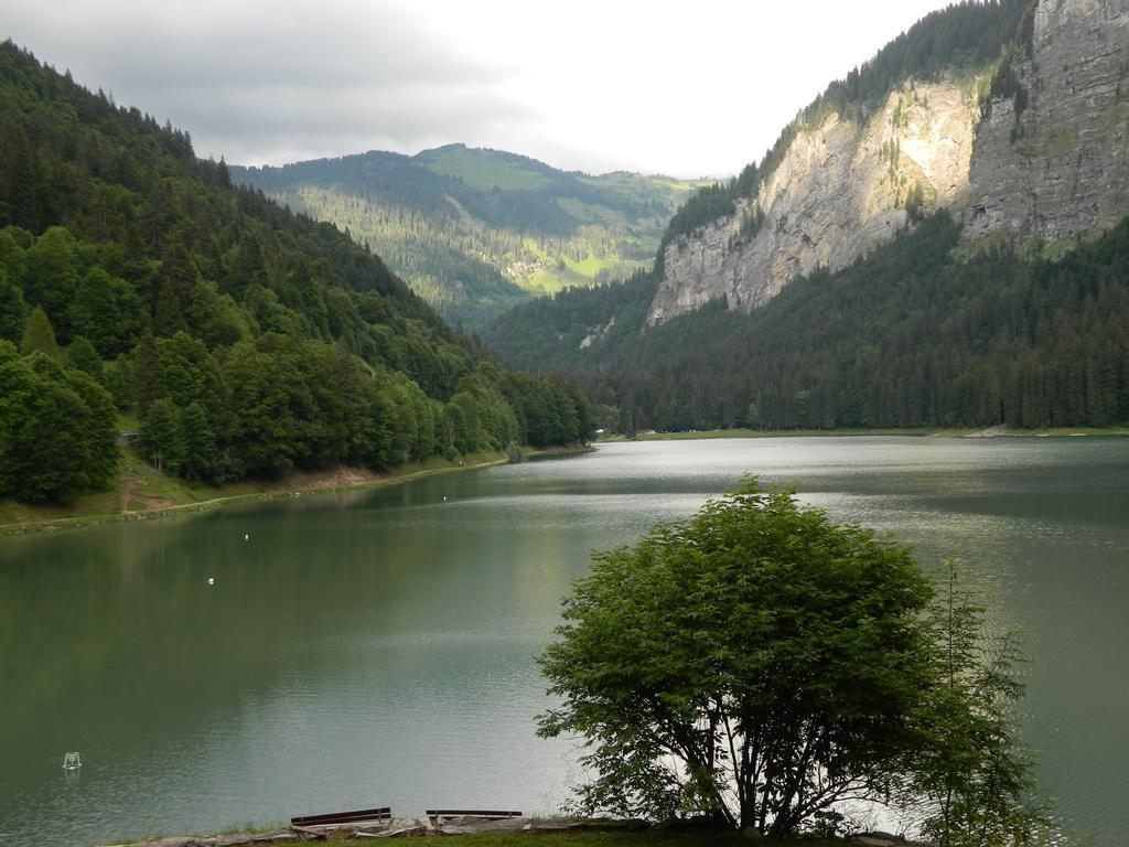 Logis Hotel Les Sapins Montriond Zewnętrze zdjęcie